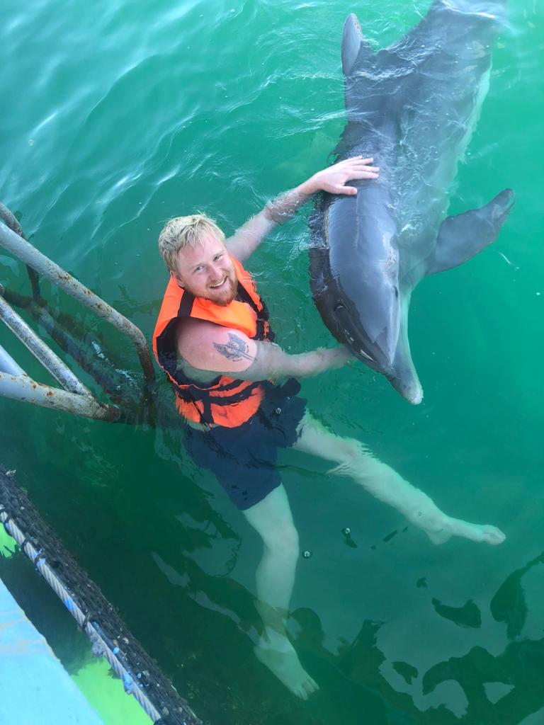 Swim with dolphins - The Ultimate Bucket List