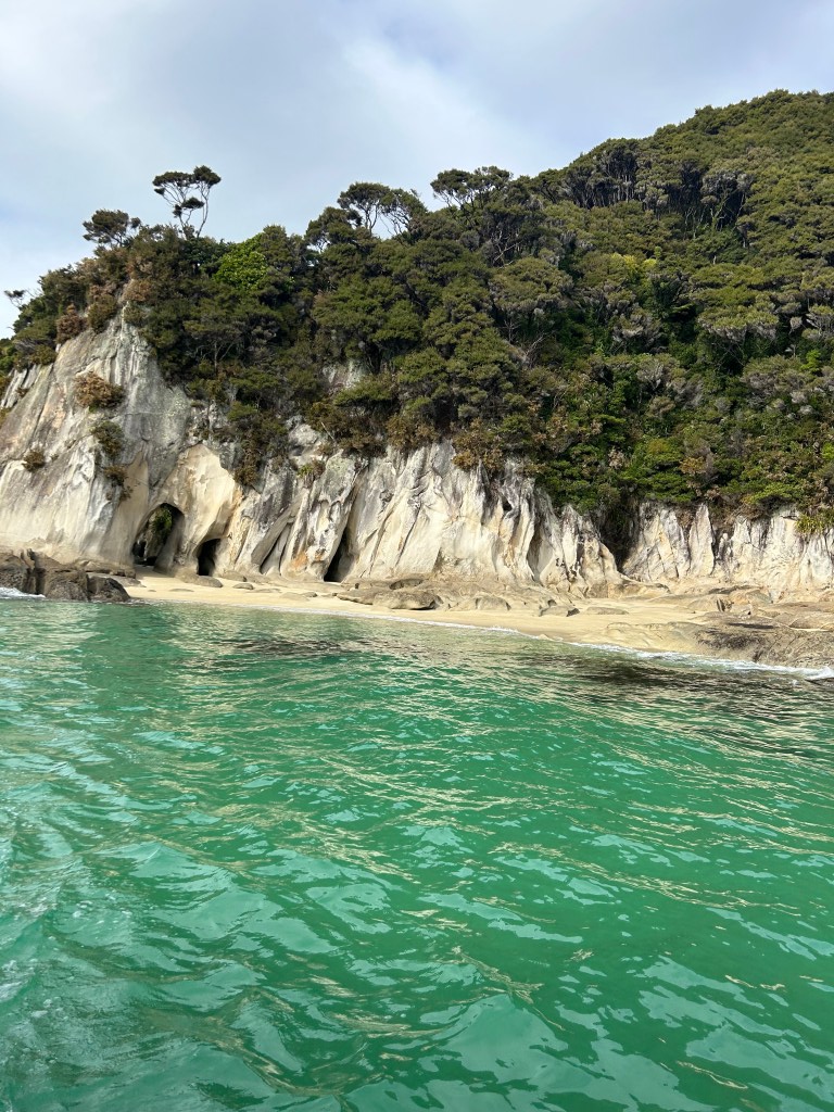 Boat cruise of Abel Tasman National Park, New Zealand