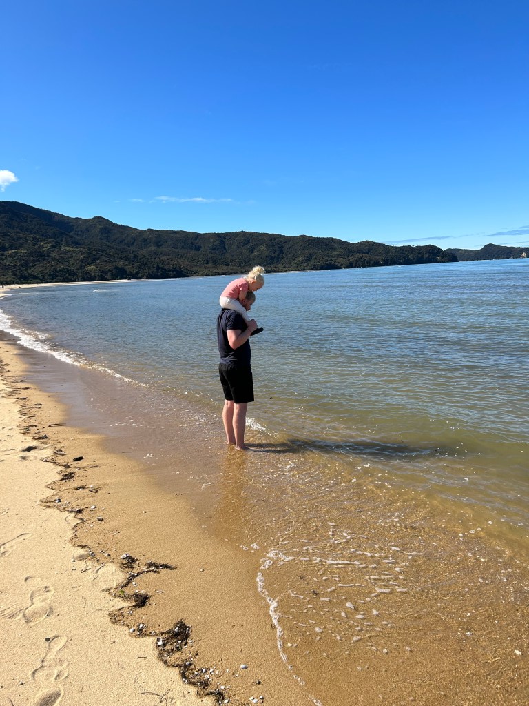 Marahau Beach in Spring, Abel Tasman National Park New Zealand