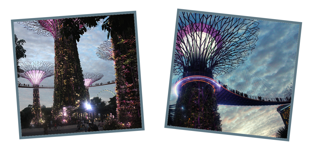 Gardens by the Bay - 24 Hours in Singapore