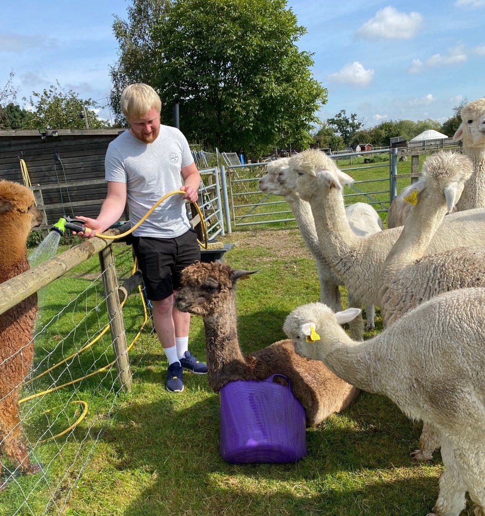 Waterperry Alpacas