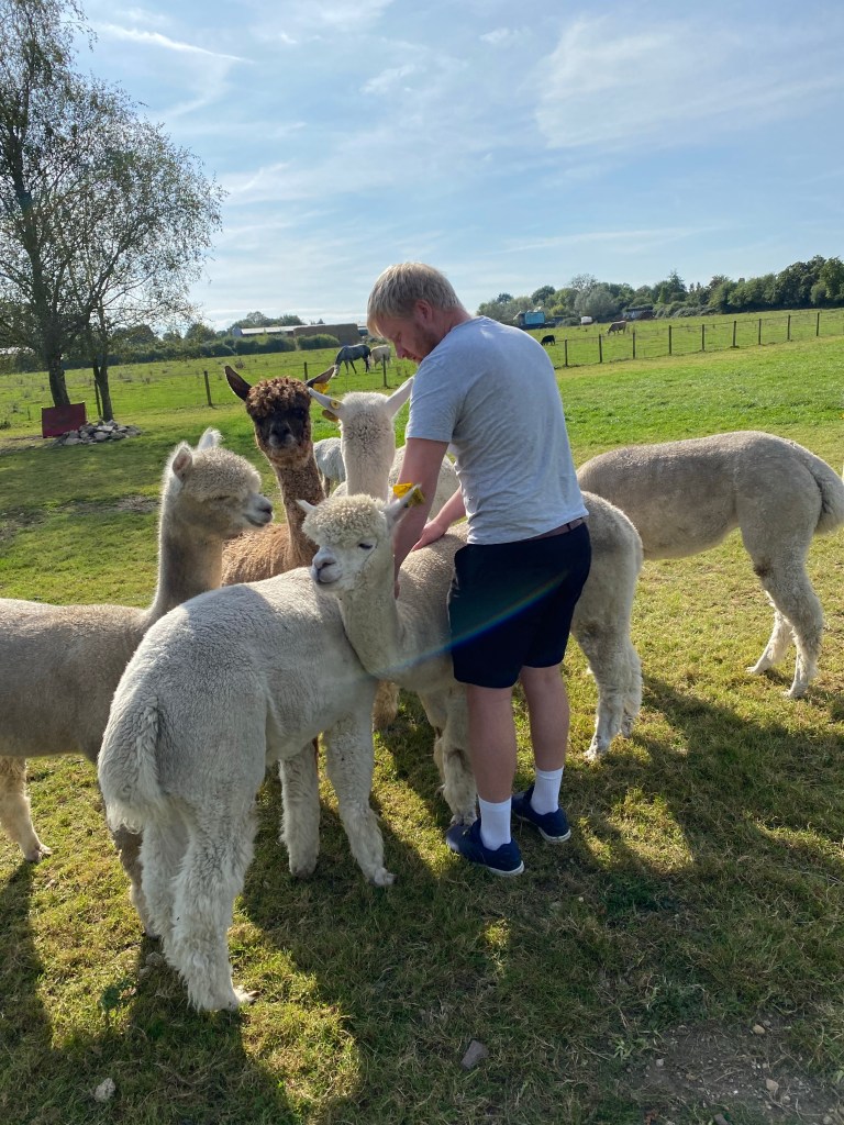 Waterperry Alpacas